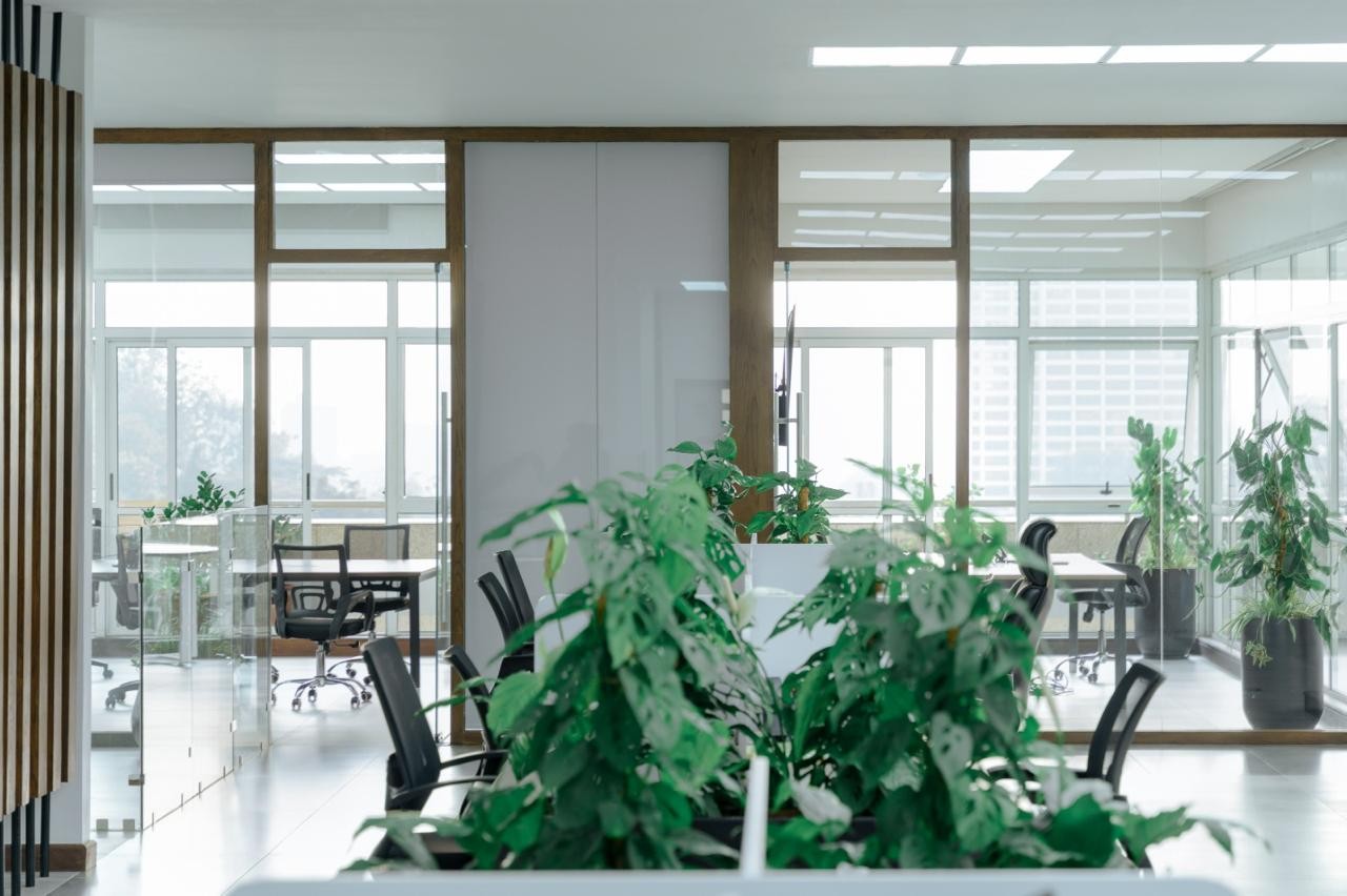Treowe — Timber-clad boardroom with AV wall